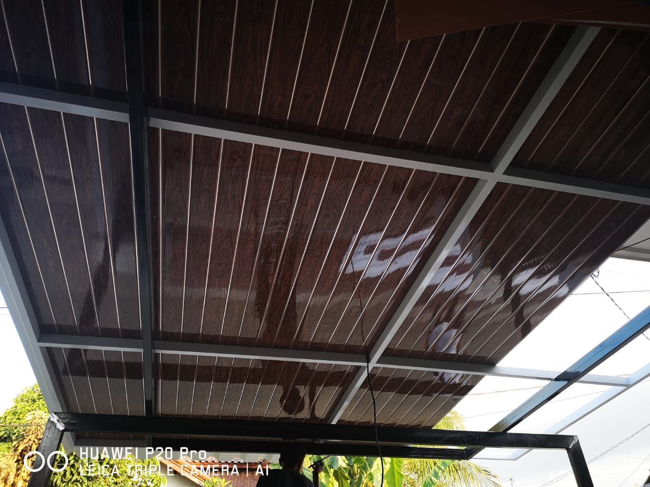 Canopy Policarbonate